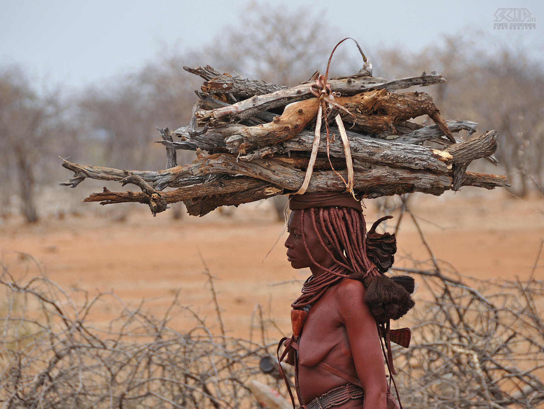 Omangete - Himba vrouw Een Himba vrouw die brandhout naar de kraal brengt. Stefan Cruysberghs